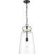 Lolla 1 Light 11.8 inch Matte Black Indoor Pendant Ceiling Light